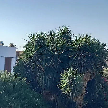 Ioli's - Medieval Town